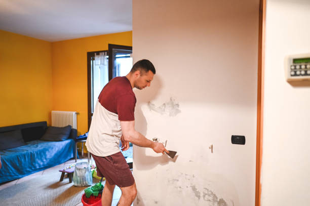 Best DIY Mold Remediation Support Services in Laurel Hill, VA